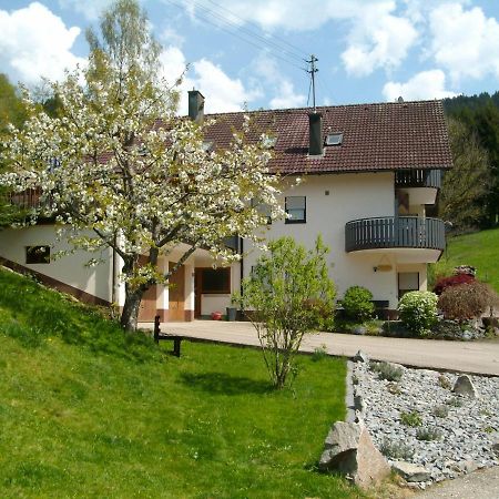 Ferienwohnung Am Sulzbächle Bad Rippoldsau-Schapbach Exterior foto