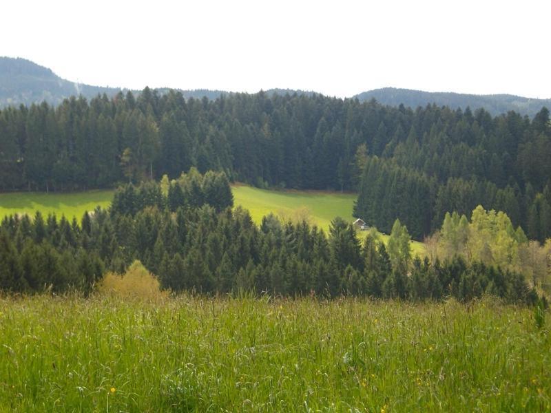 Ferienwohnung Am Sulzbächle Bad Rippoldsau-Schapbach Exterior foto