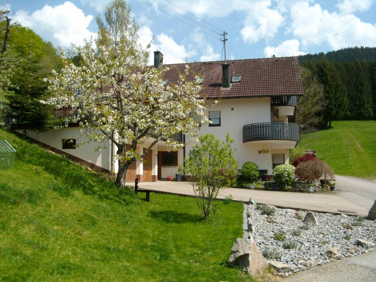 Ferienwohnung Am Sulzbächle Bad Rippoldsau-Schapbach Exterior foto